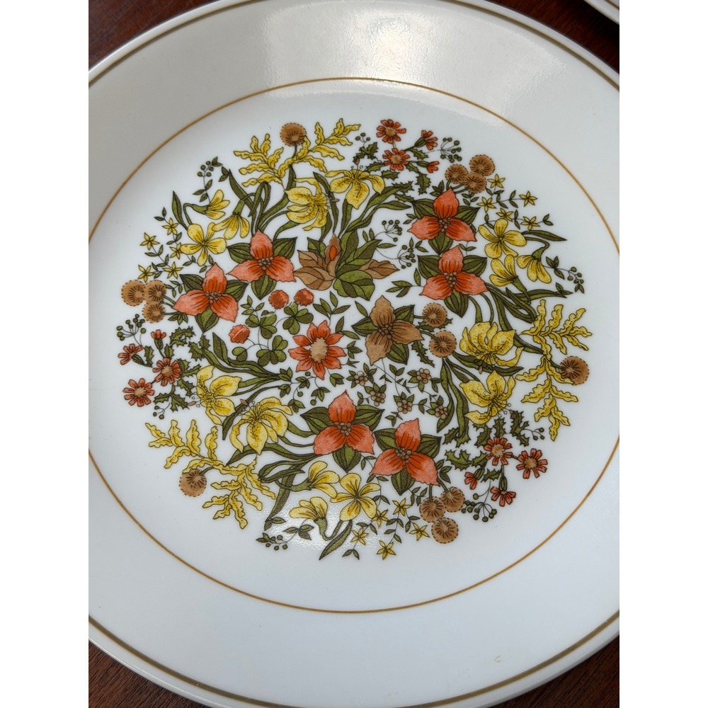 Vintage Corelle Indian Summer 10.25" Dinner Plates Set of 6 Floral 1970s Retro